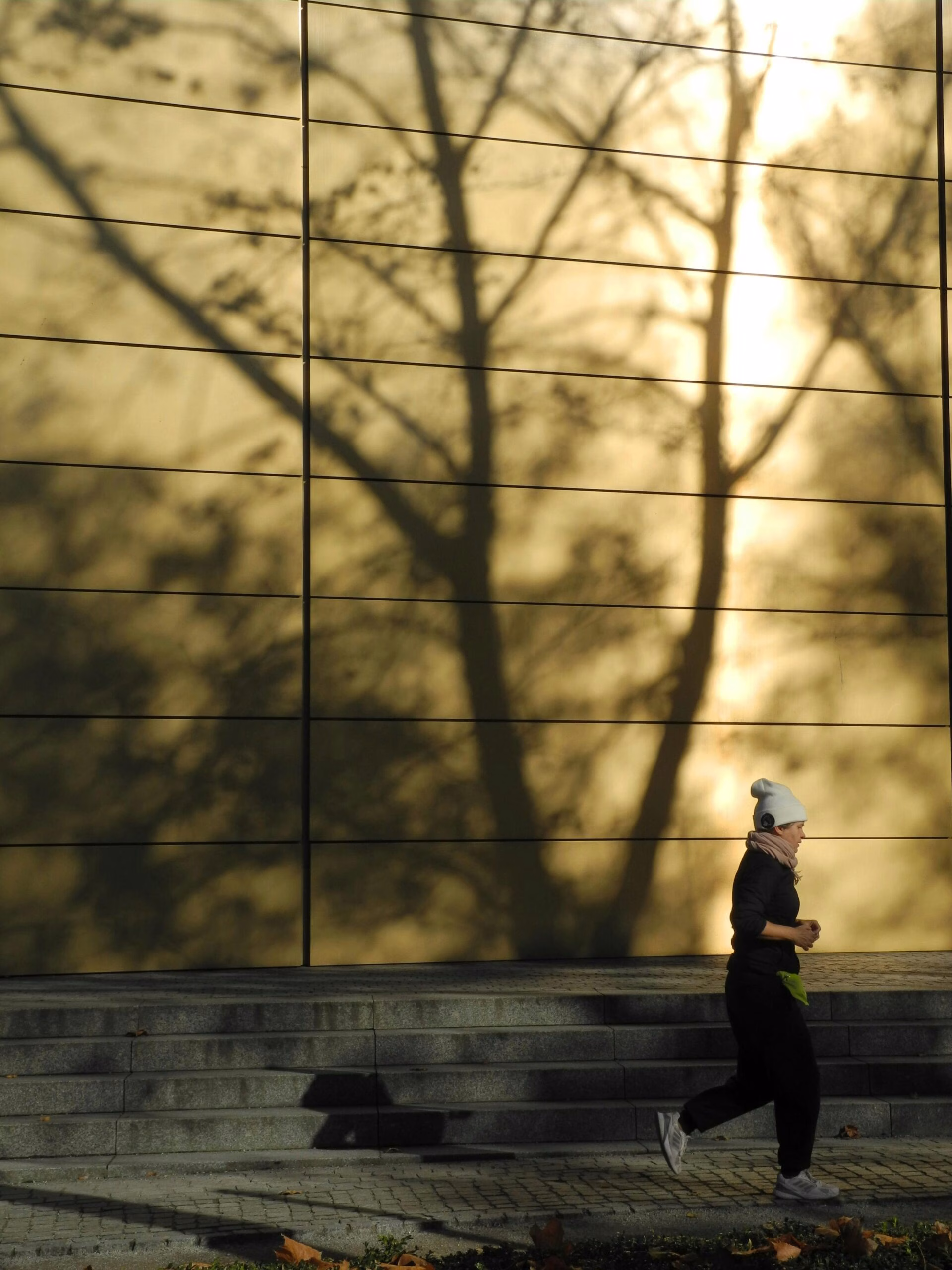 Egzersiz ve Fitness Egzersiz ve Fitness