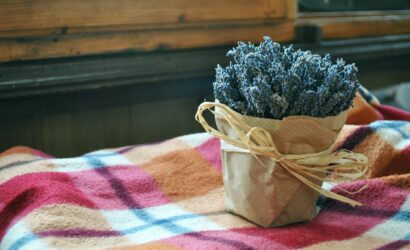 Minimalist Ev Dekorasyonu Nasıl Yapılır?