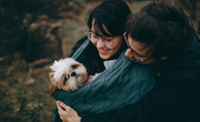 Doğru arkadaşlık, mutluluğu paylaşan bir çiftin ve sevimli Shih Tzu'larının keyifli anlarını yansıtır.