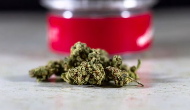 Doğal Kadın Sağlığı Önerileri: Bitkisel Çözümler