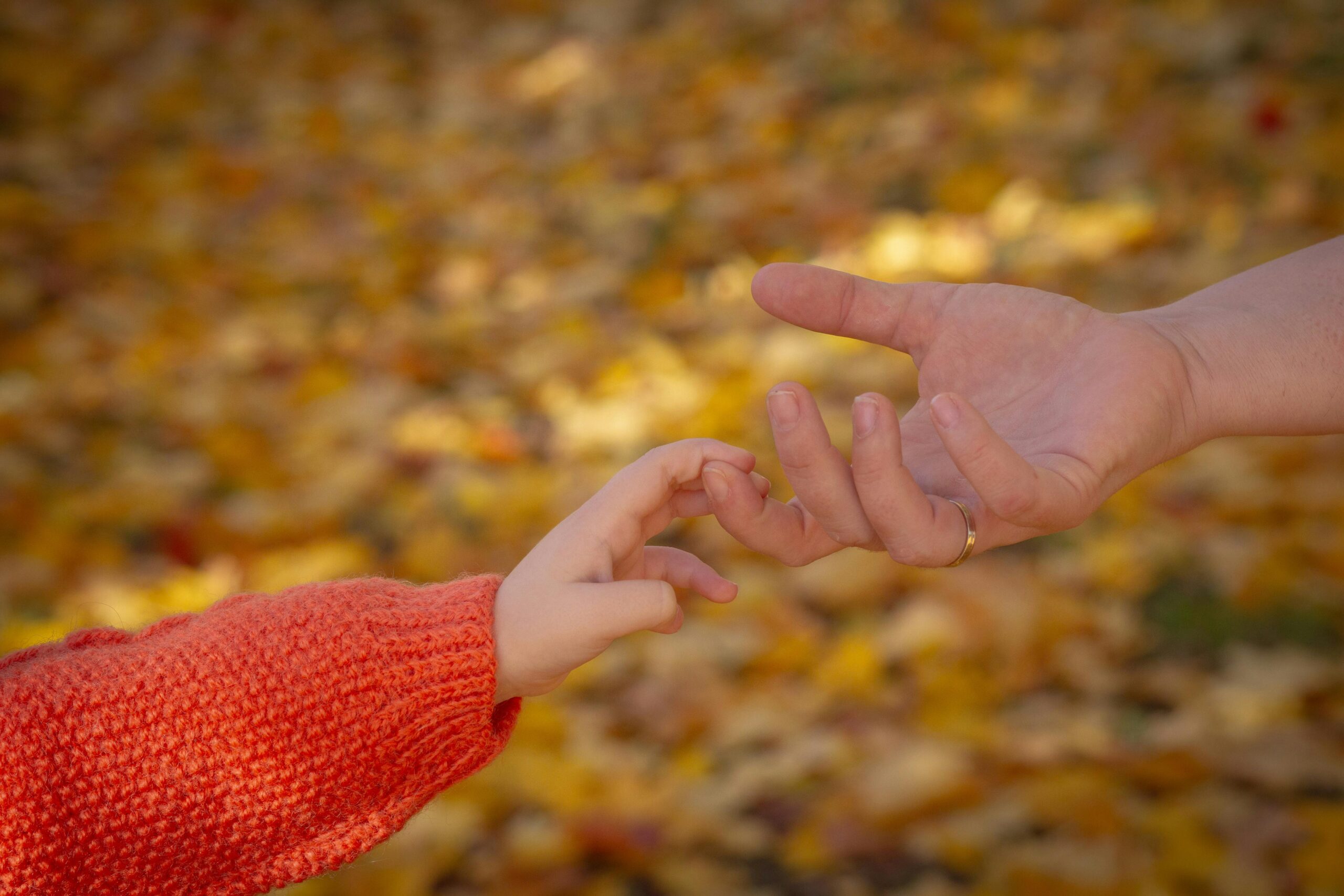Egzersiz Programları Egzersiz Programları