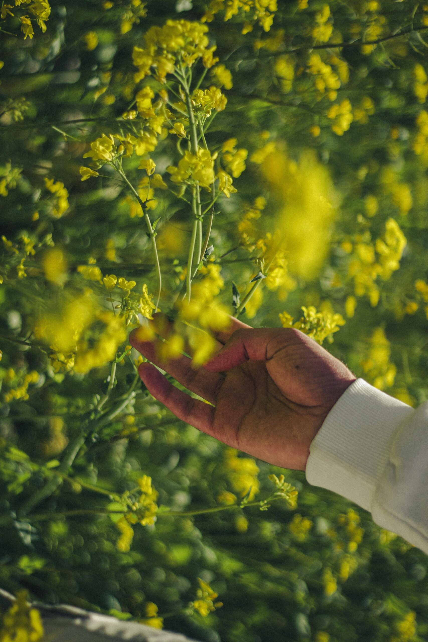Egzersiz Programları Egzersiz Programları