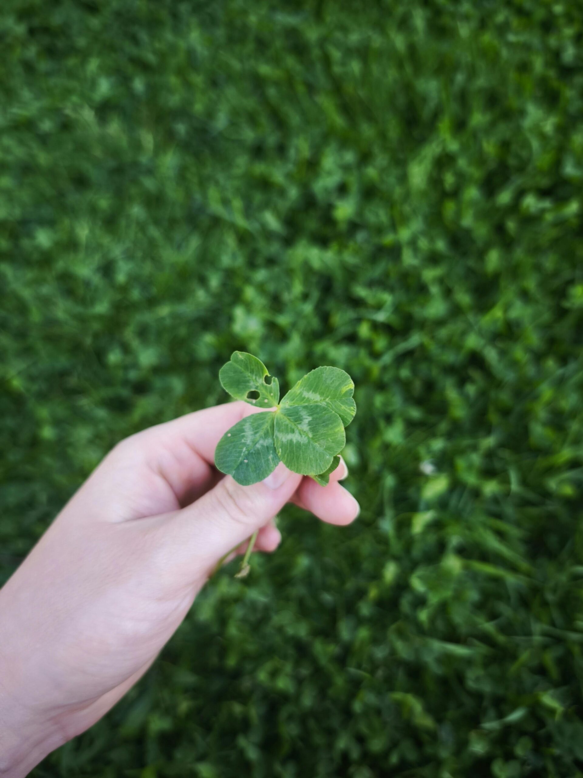 Huzur bulma Huzur bulma