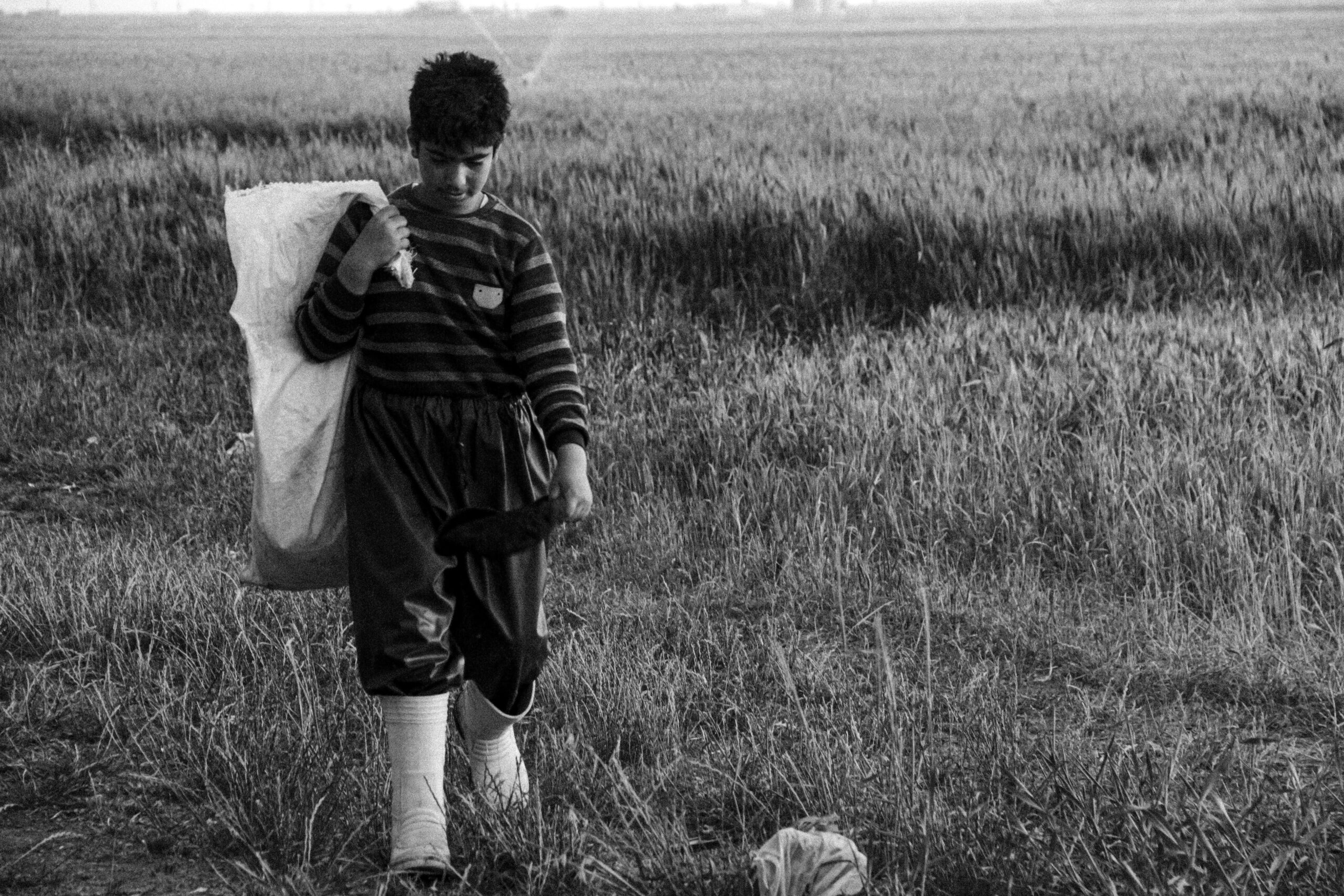 İş hayatı İş hayatı