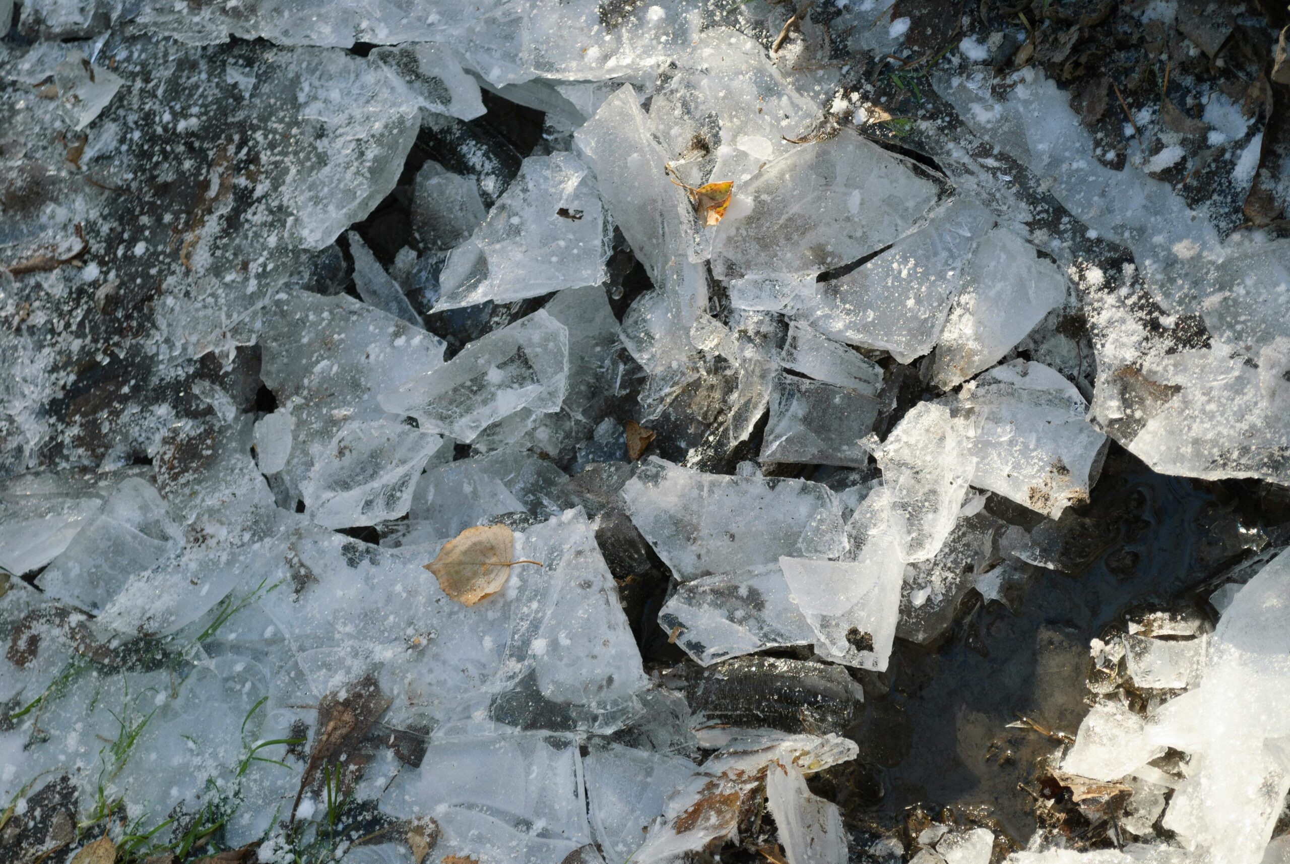 Kendiyle barışık Kendiyle barışık