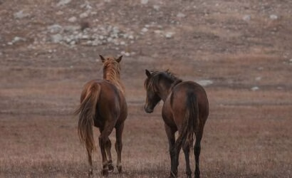 Kendiyle Barışık Olmak İçin Yapılması Gerekenler