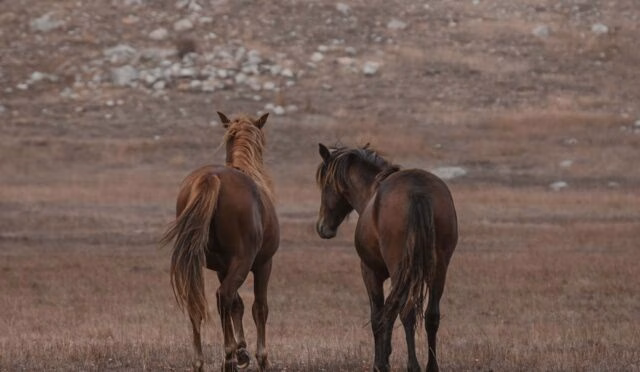 Kendiyle Barışık Olmak İçin Yapılması Gerekenler