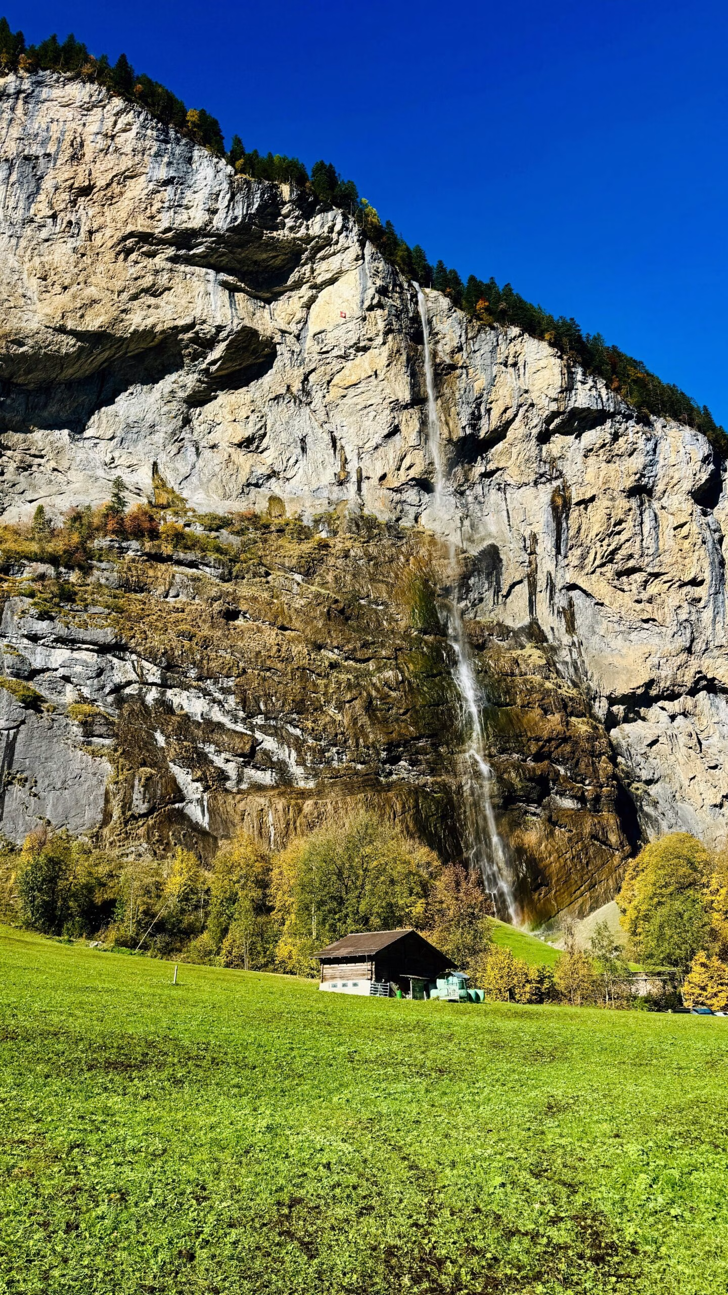 Mevsim Trendleri Mevsim Trendleri